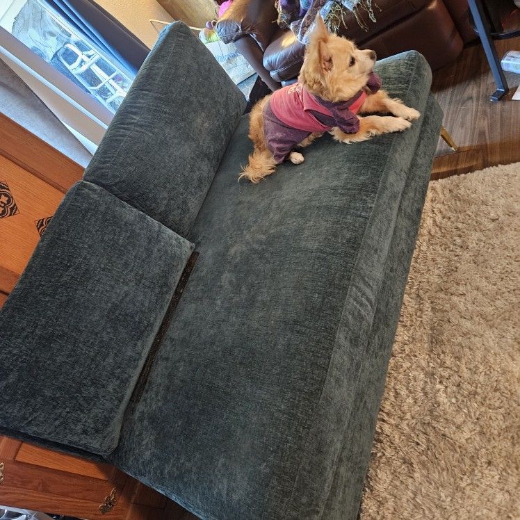 Small Lounger