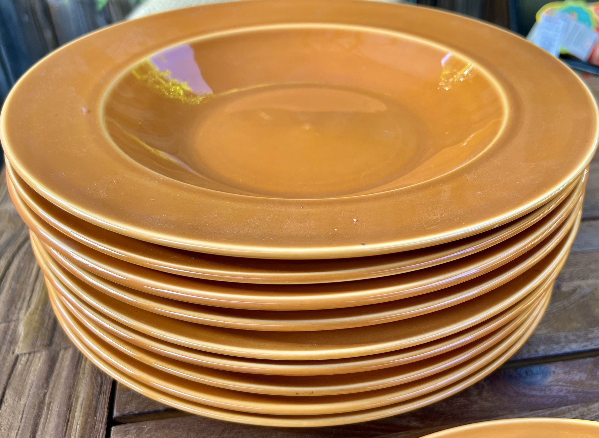 HF Coors Large Pasta Bowls