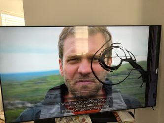 Damaged screen Samsung 65” Smart TV