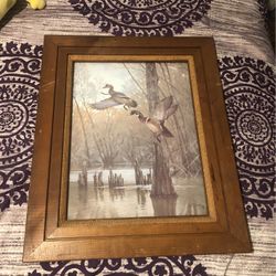Custom Frame Bird Picture 