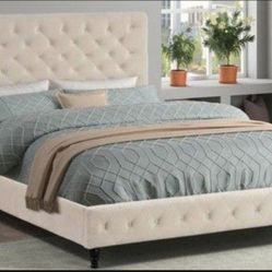 Brand New Beige Velvet Queen Size Bed Frame