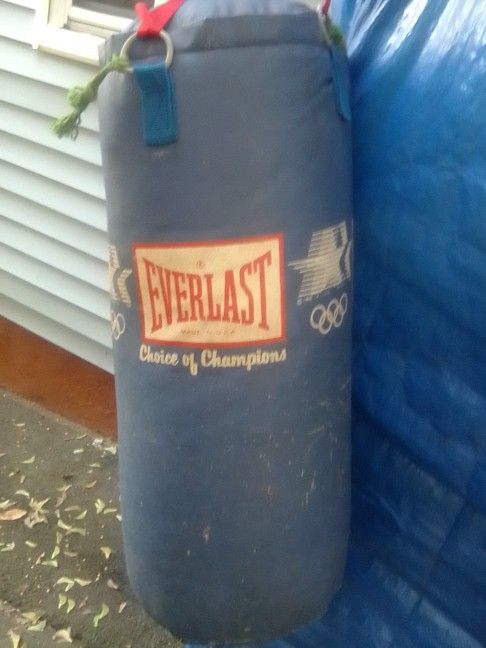 Everlast Punching Bag