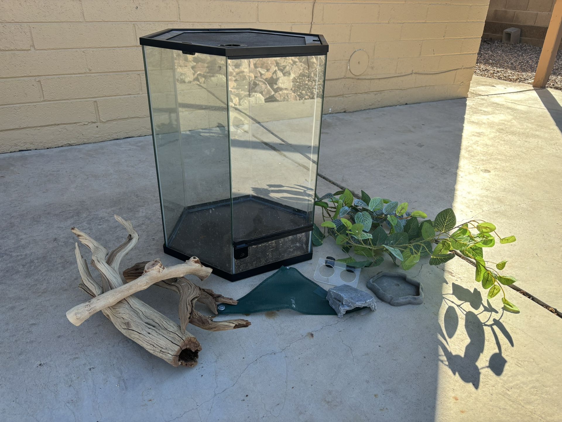 Crested Gecko Starter Kit