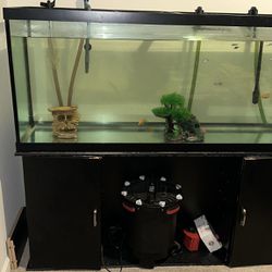 Fish Tank 120g 