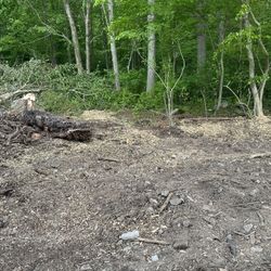 Vacant Land Swansea Mass