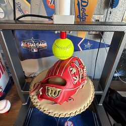 Professional Glove Break-In