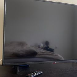 LG 44 Inch Tv Working Perfectly Moving