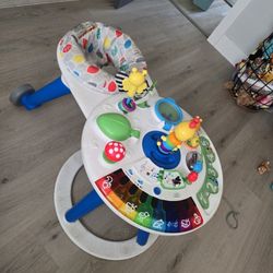 Baby Einstein Toy