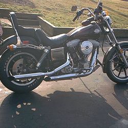 1985 fxsb on sale for sale