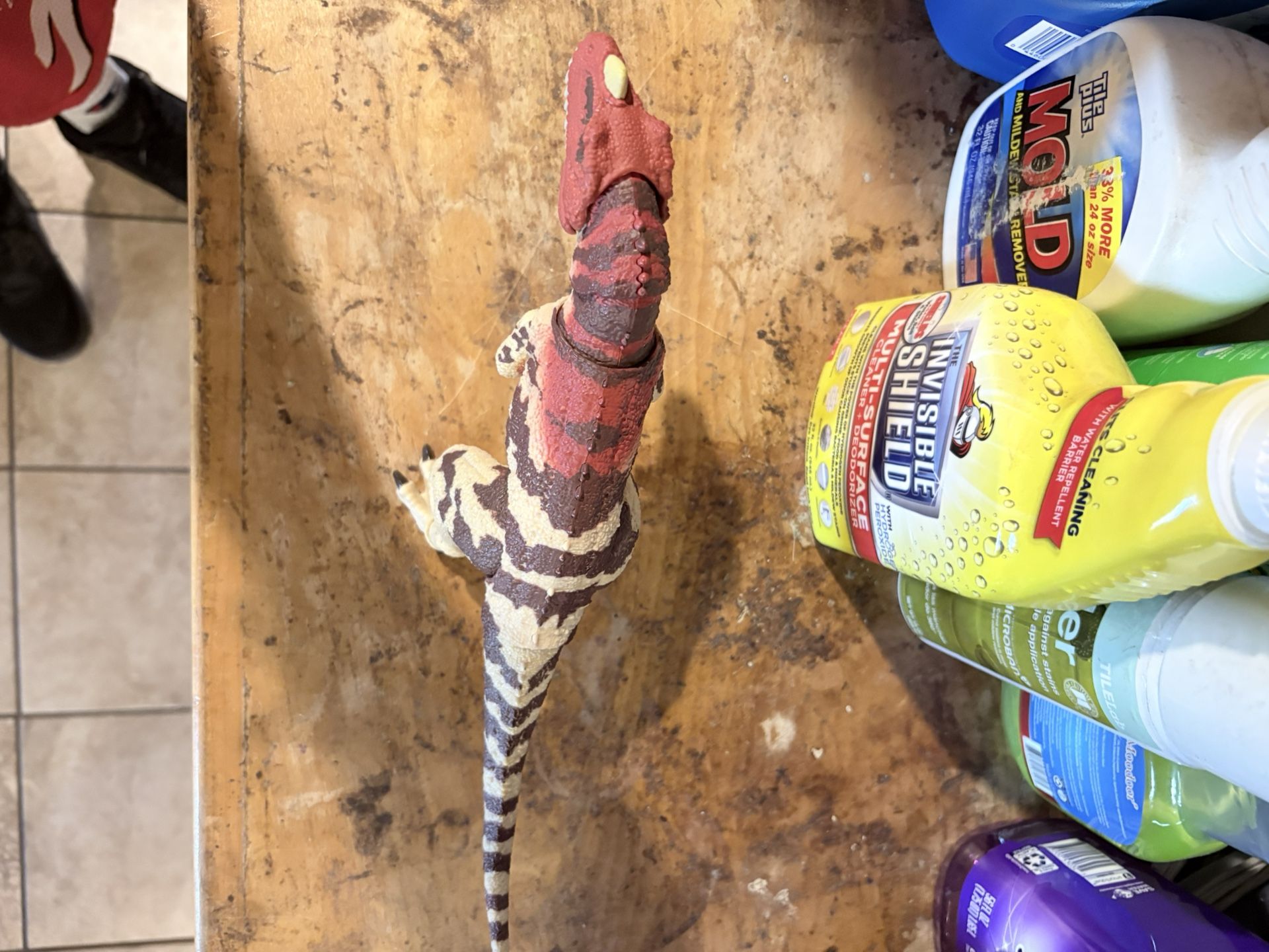 HAMMOND COLLECTION CERATOSAURUS