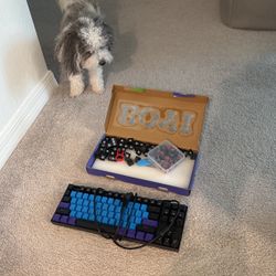 Gaming Keyboard PC Xbox Ps4 with Keycaps and switches, Red and Blue