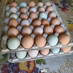 Huevos criollos frescos de gallinas del patio/ fresh eggs from my backyard hens