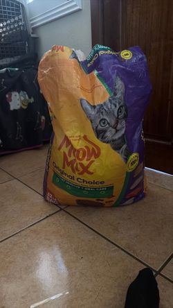 Cat food