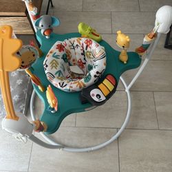 Fisher Price Baby Bouncer 