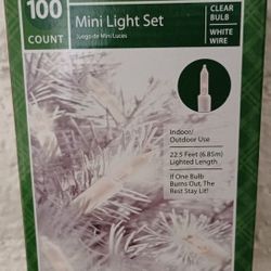 100 Count Mini Christmas Light Set, Clear Color Bulbs on White Wire. by Holiday Time
