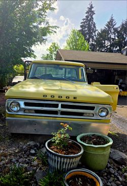 1970 Dodge D200 Truck