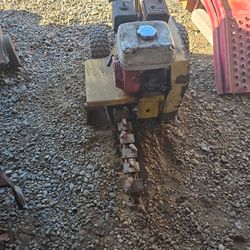 Trencher Ground Hog. 