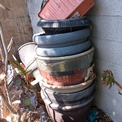 Large Flower Pots 