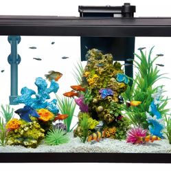 Top Fin Aquarium 