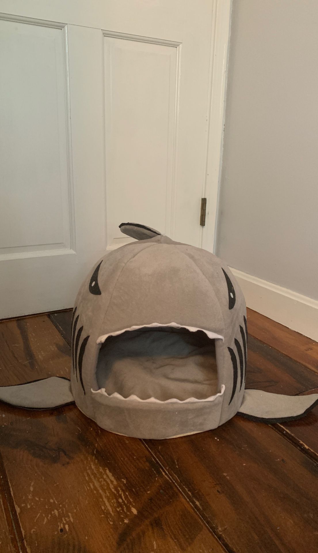 shark cat bed
