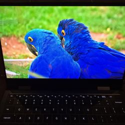 Samsung Galaxy Book Pro 360 13.3" AMOLED Touchscreen | i7