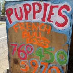 Puppy sign French Bulldog 