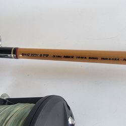Deep sea fishing Pole