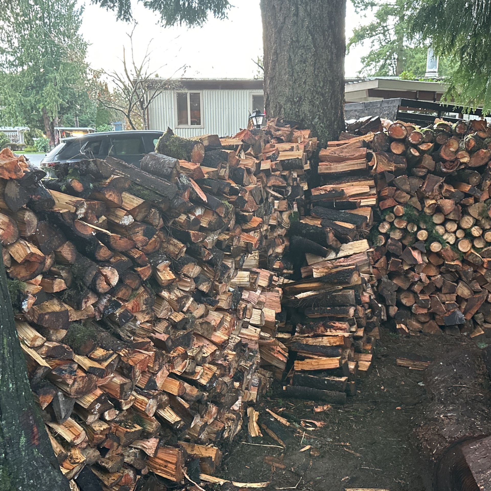 Firewood (seasoned)