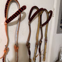 Cabezadas Para Caballo 🐴