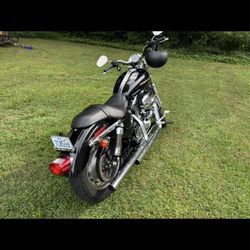 2005 Harley-Davidson Custom 1200