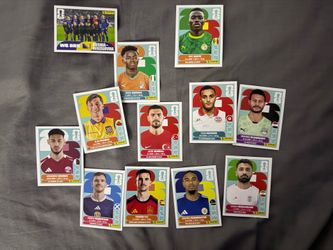 Panini World Cup Stickers