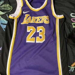 L. James Lakers Jersey 