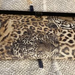 Safari Animal Wallet
