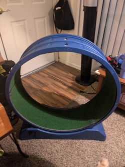 Cat wheel