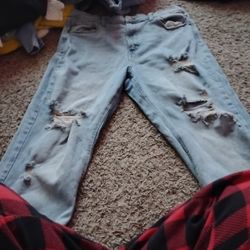 Hollister Ripped Jeans