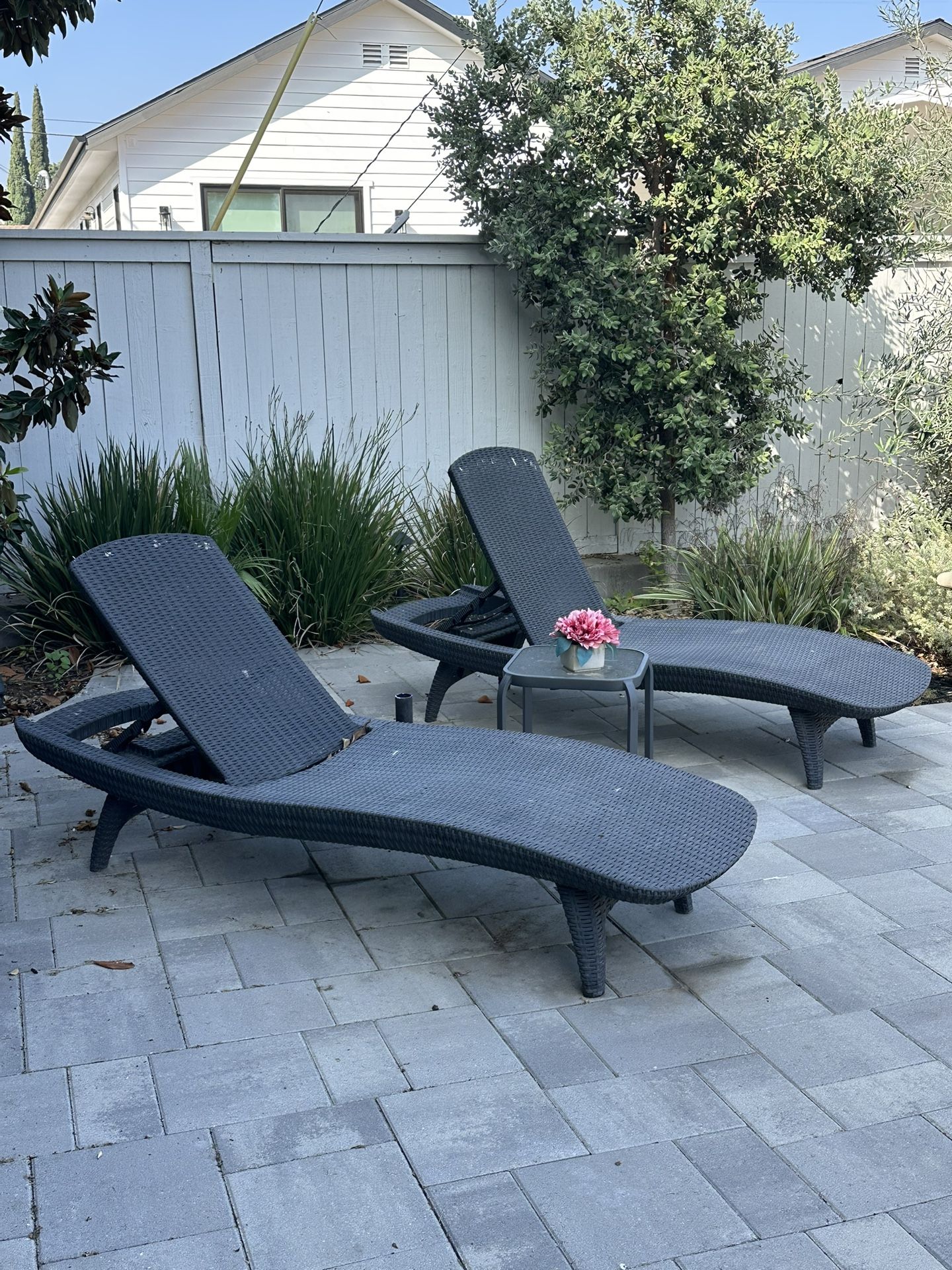 Strong Reclinable Pool Chairs 