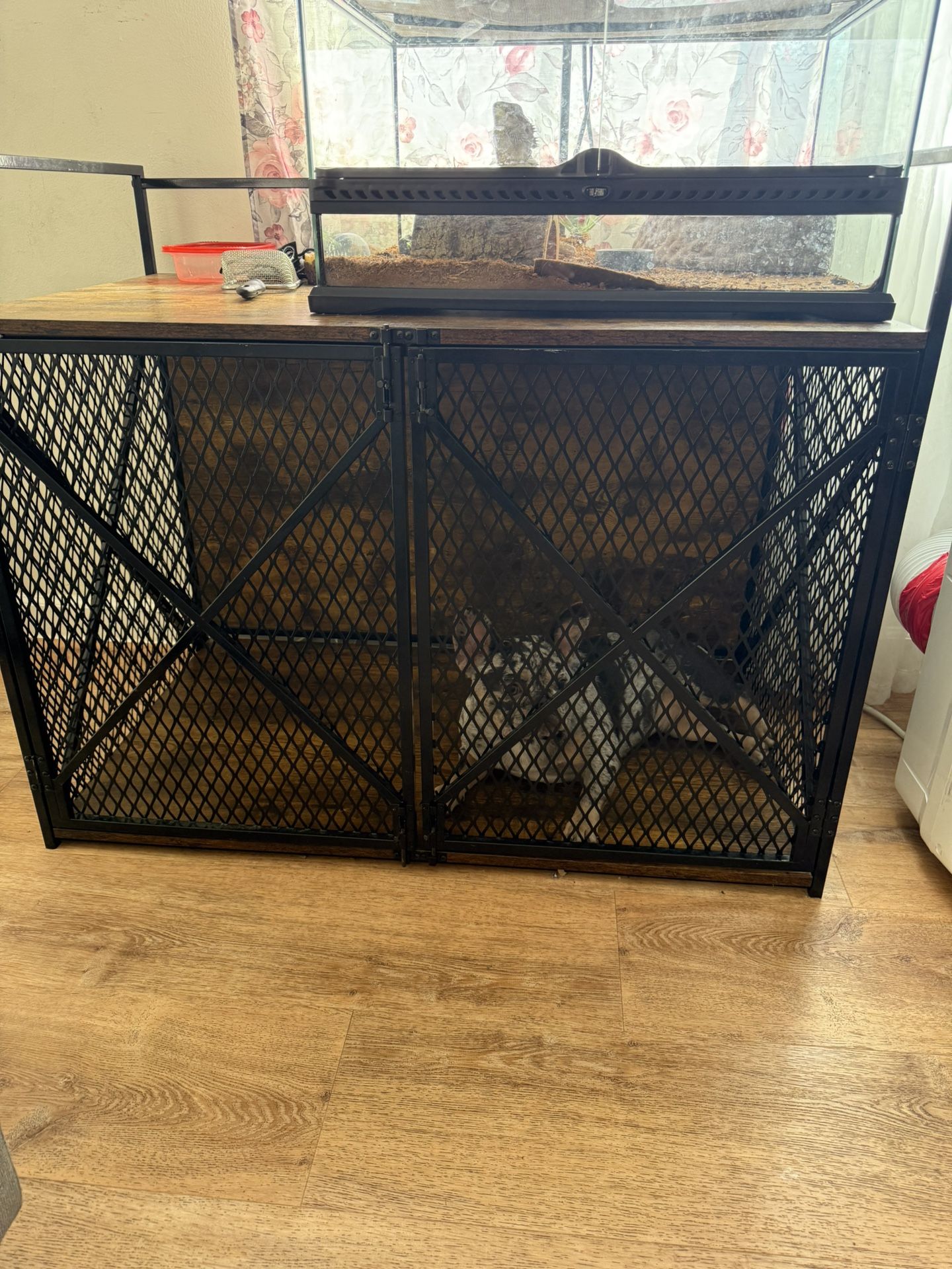 Dog Cage
