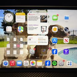 Apple IPad Pro M2 (4th Generation) Like New