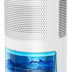 Portable Dehumidifier (68oz/2000ml) with drain hose for 480 Sq.ft, for Basements Room Bedroom Bathroom Closet RV with Control Panel, Quiet-751