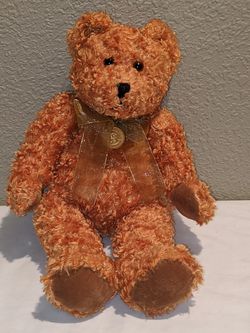 TY 2002 Teddy the 199th Anniversary of Teddy Bear Roosevelt Beanie Baby, coin tag