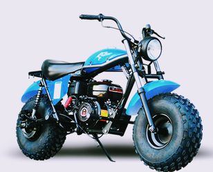 Trailmaster mb200