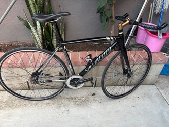 Specialized langster