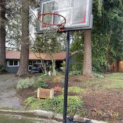 Basketball Hoop - Free