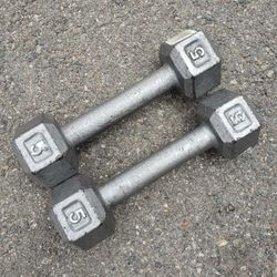 $15, 5lb Dumbbell Set, 