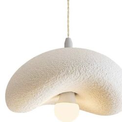 Pendant light wabi sabi  20in Long x 16in Wide 