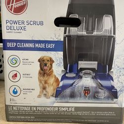Carpet Cleaner