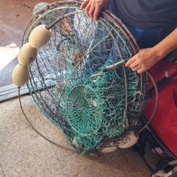 Net And Floater