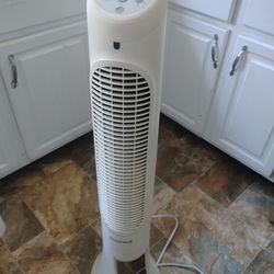 Fan