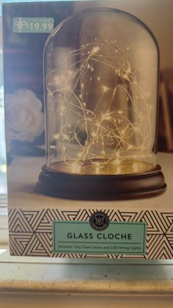Glass Cloche 