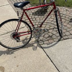 Vintage Schwinn Bike   Spirit   Well Maintenance 